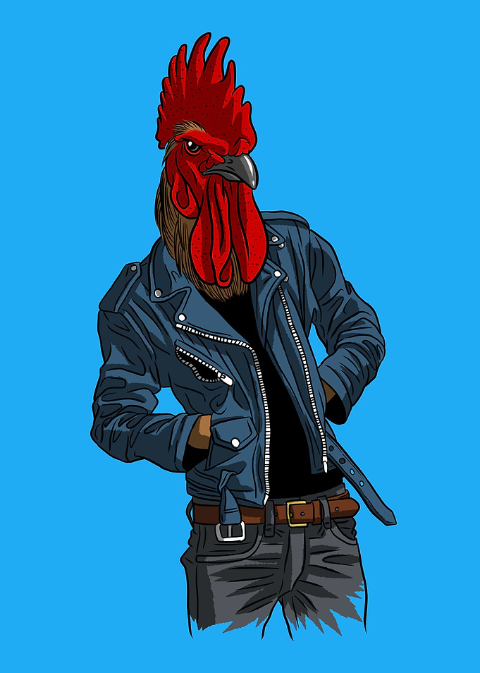 Rooster crest punk