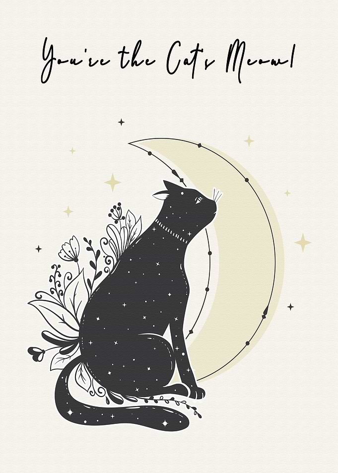 Cat Lover Gift