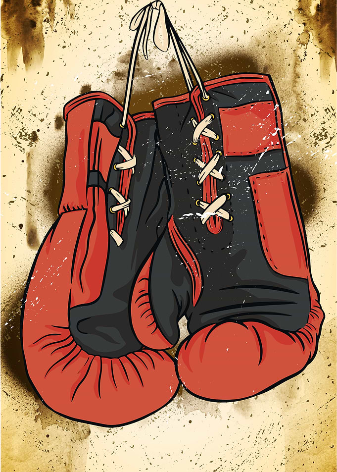 Vintage Boxing Gloves
