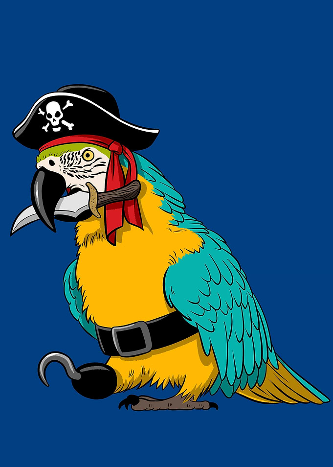 pirate parrot