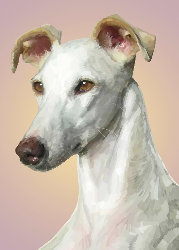 Greyhound Dog