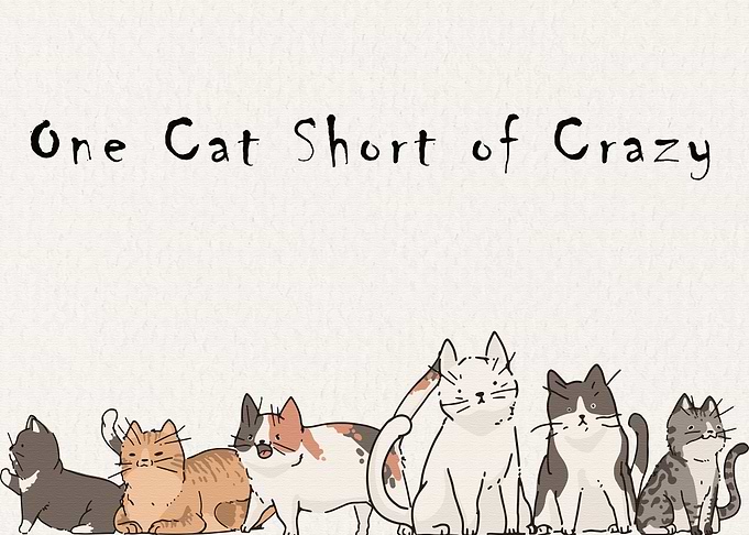 One Cat Short of Crazy
