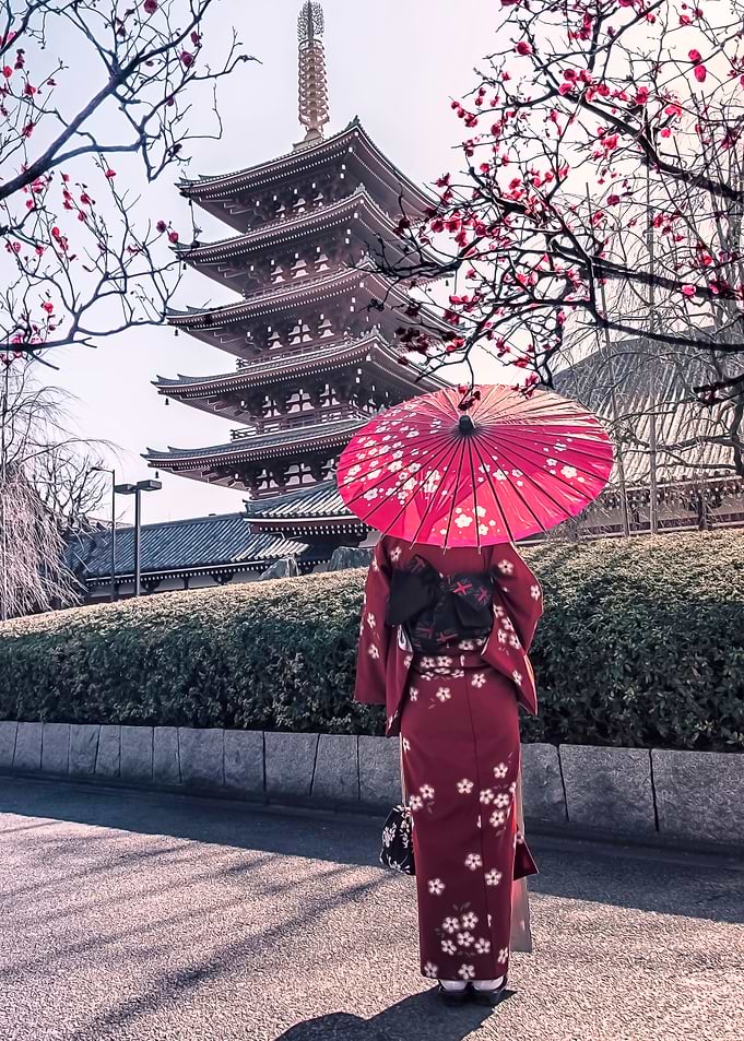 Lady In Red