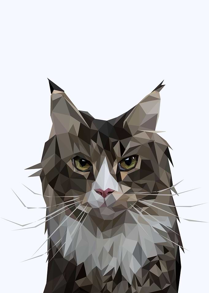 nursery animals cute cat