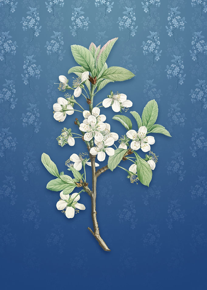 Vintage White Plum Flower