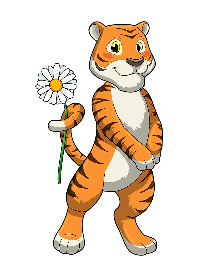 Tiger Daisy Flower