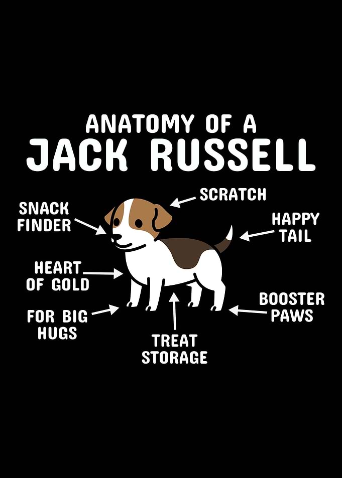 Anatomy Of A Jack Russell