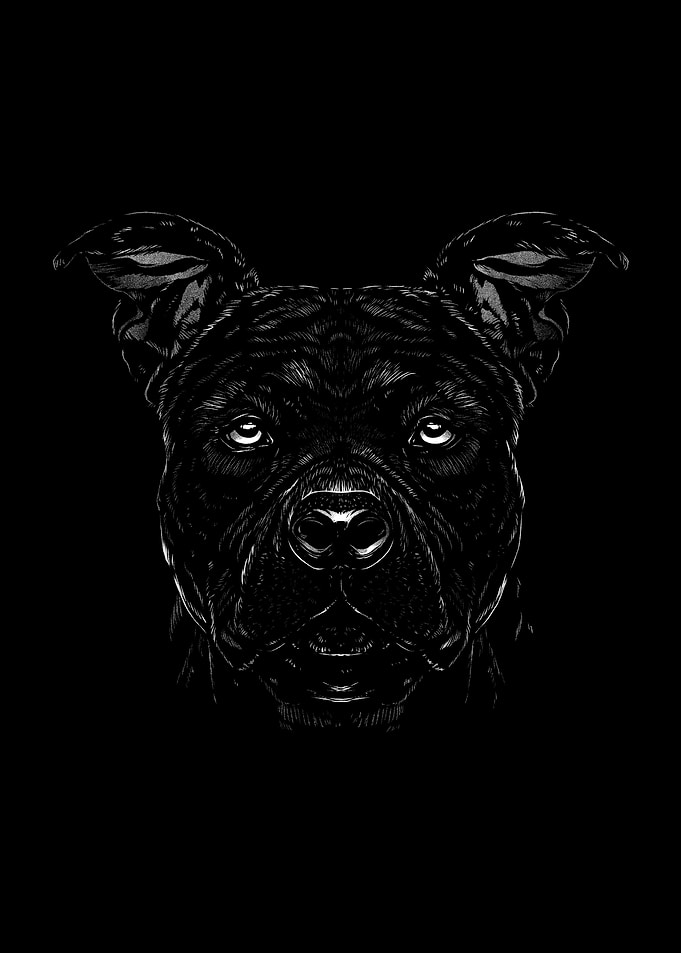 Dog Dogs Dog Lovers Dog