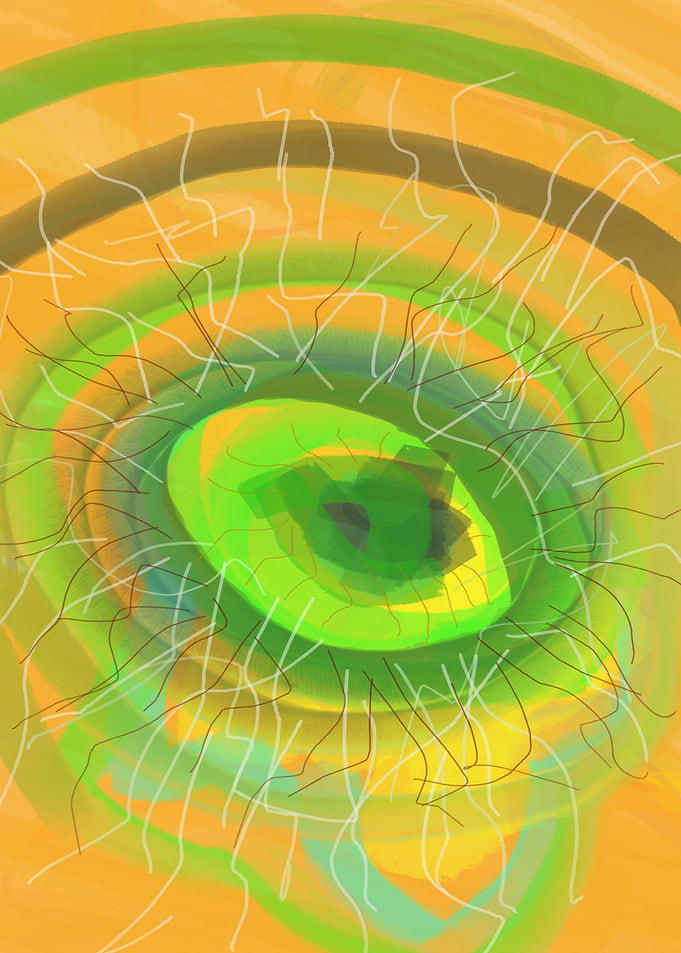 the eye