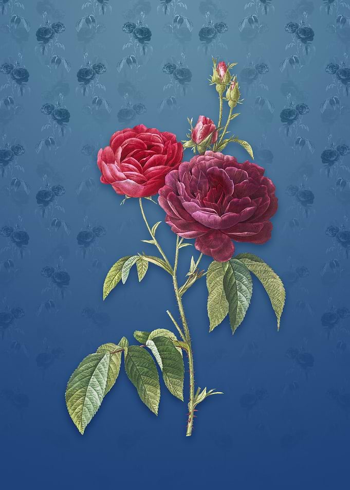 Vintage Purple Roses