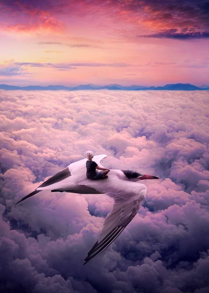 Fly With Me