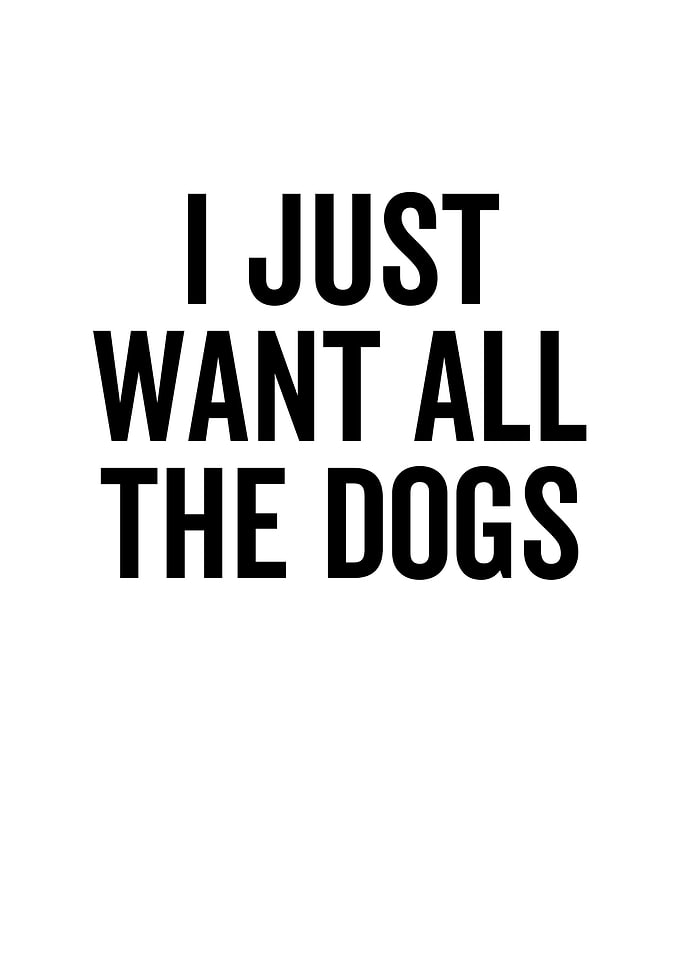 I Just Want All The Dogs