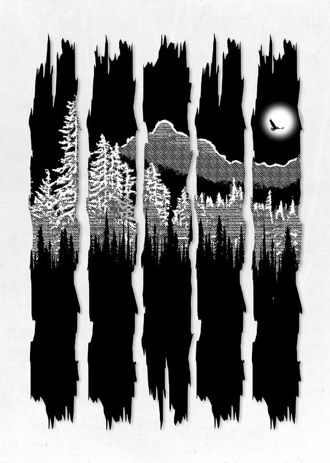 Mountains and Forest