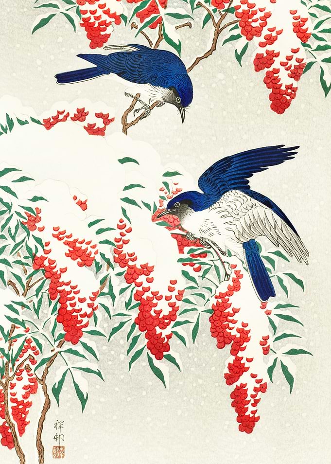 Flycatchers on a nandina