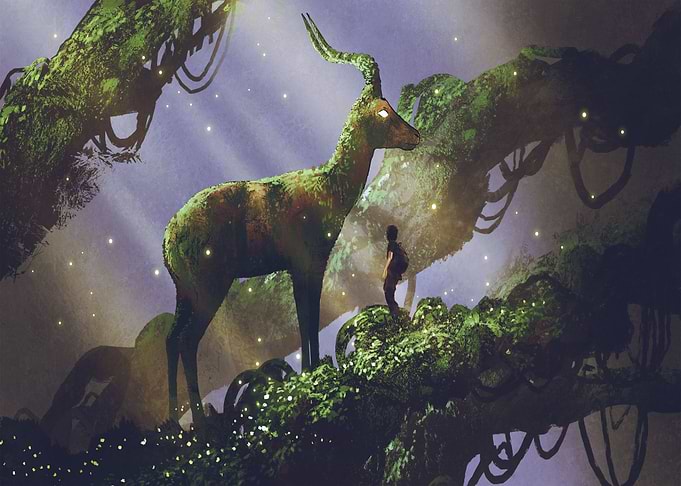 Young hiker found deer