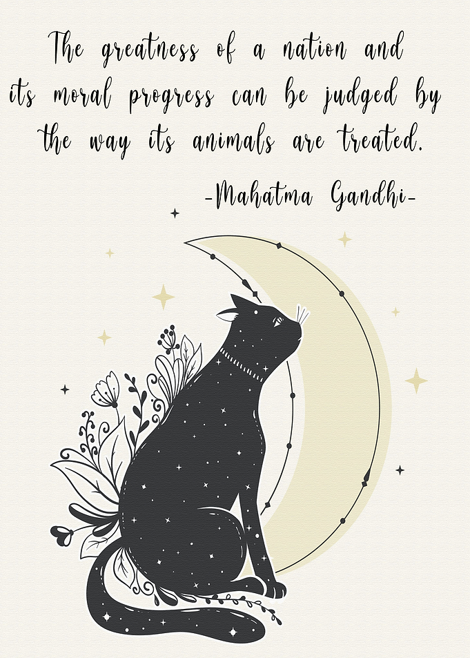 Mahatma Gandhi Quote