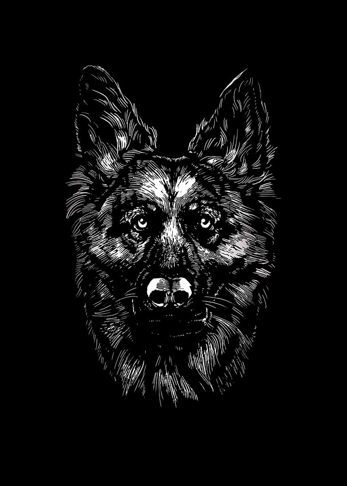 Dog Dog Dog Lovers Dog