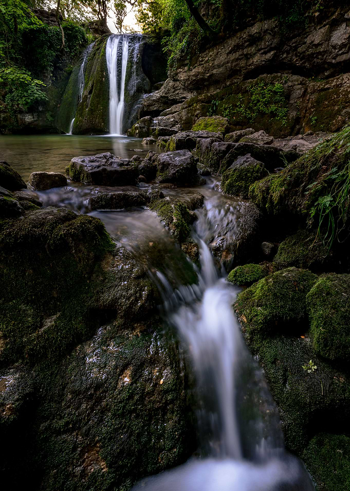 Janets Foss