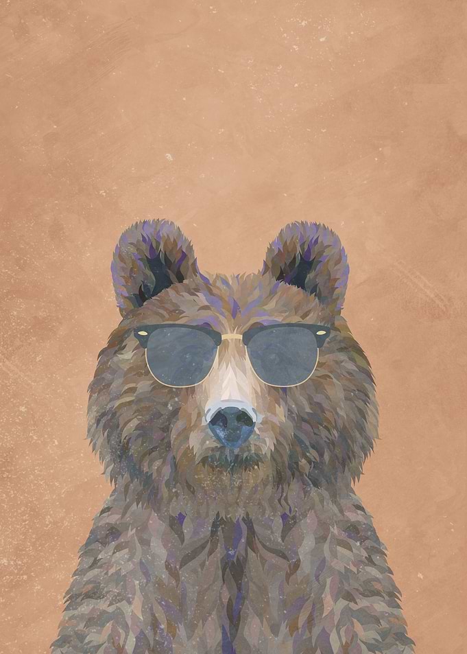 RayBan Brown Bear