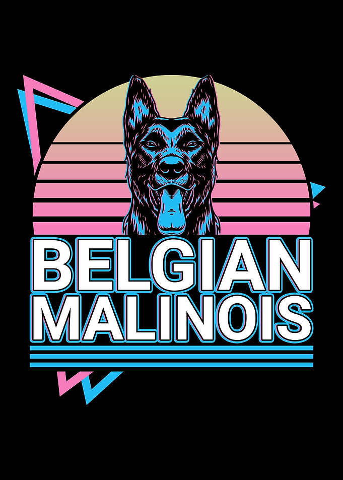 Belgian Malinois Retro