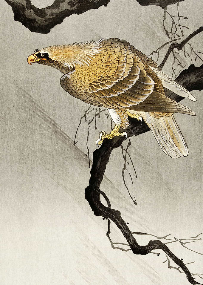 Eagle on branch 1900
