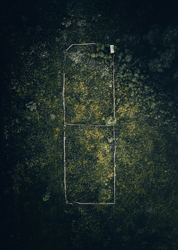 The Fence