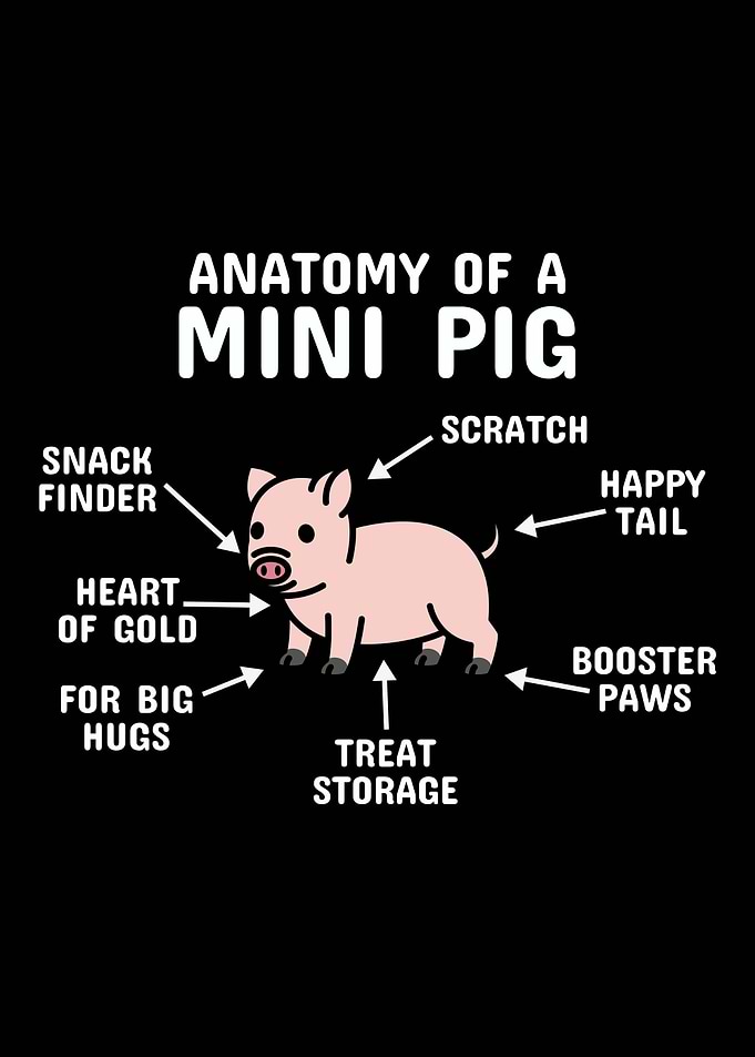 Anatomy Of A Mini Pig