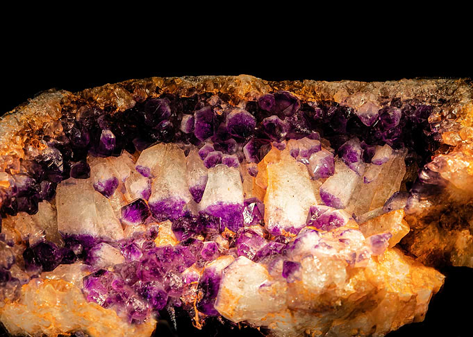 Purple nest
