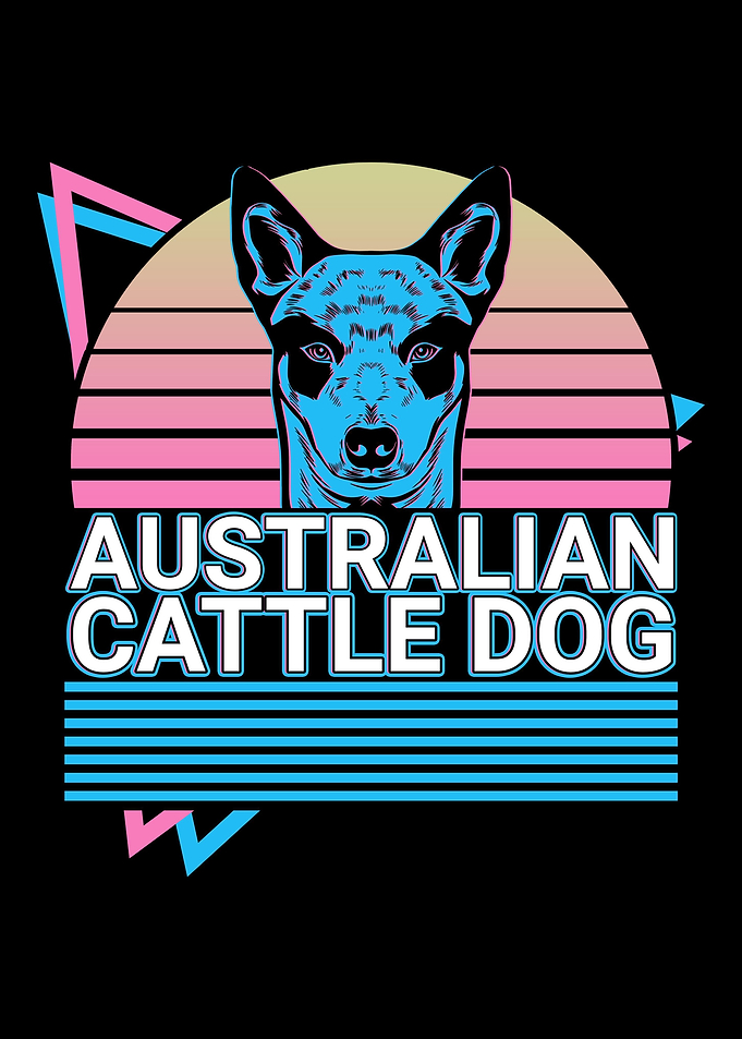 Australian Cattle Dog