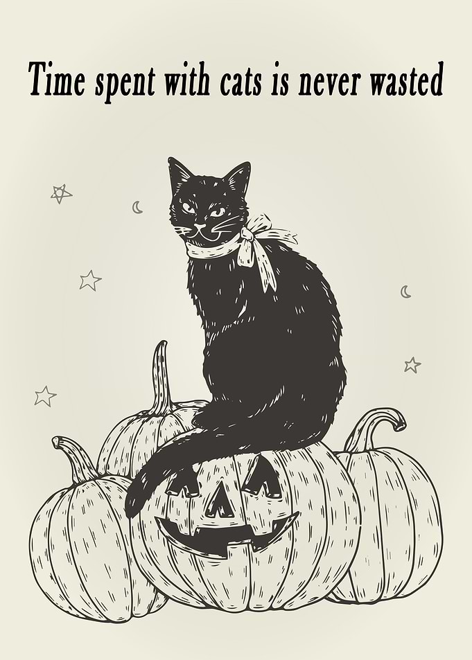 cats is never wasted