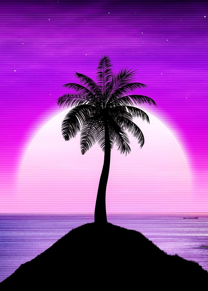 palm sunset beach