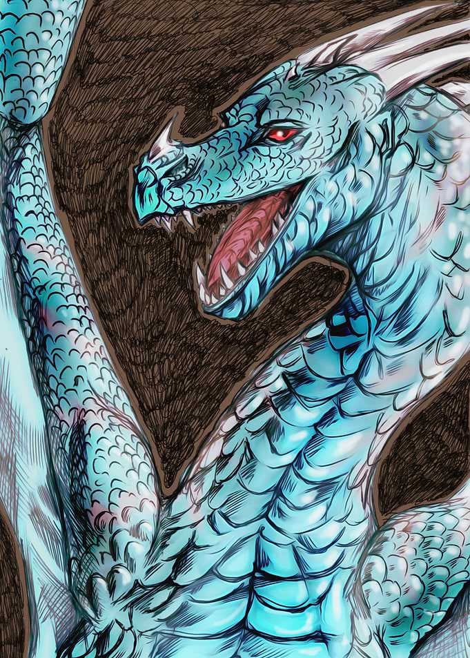 Male coastal dragon