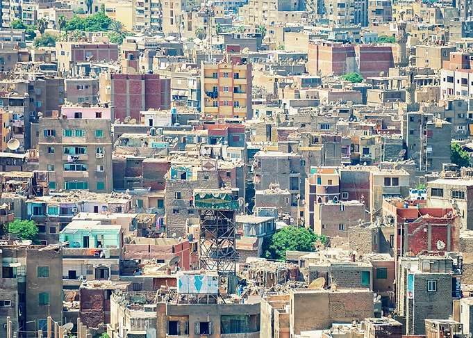 Urban Jungle