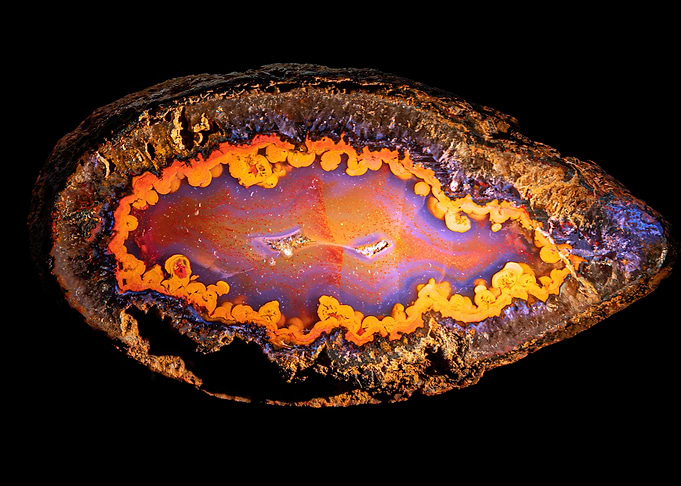 Orange egg