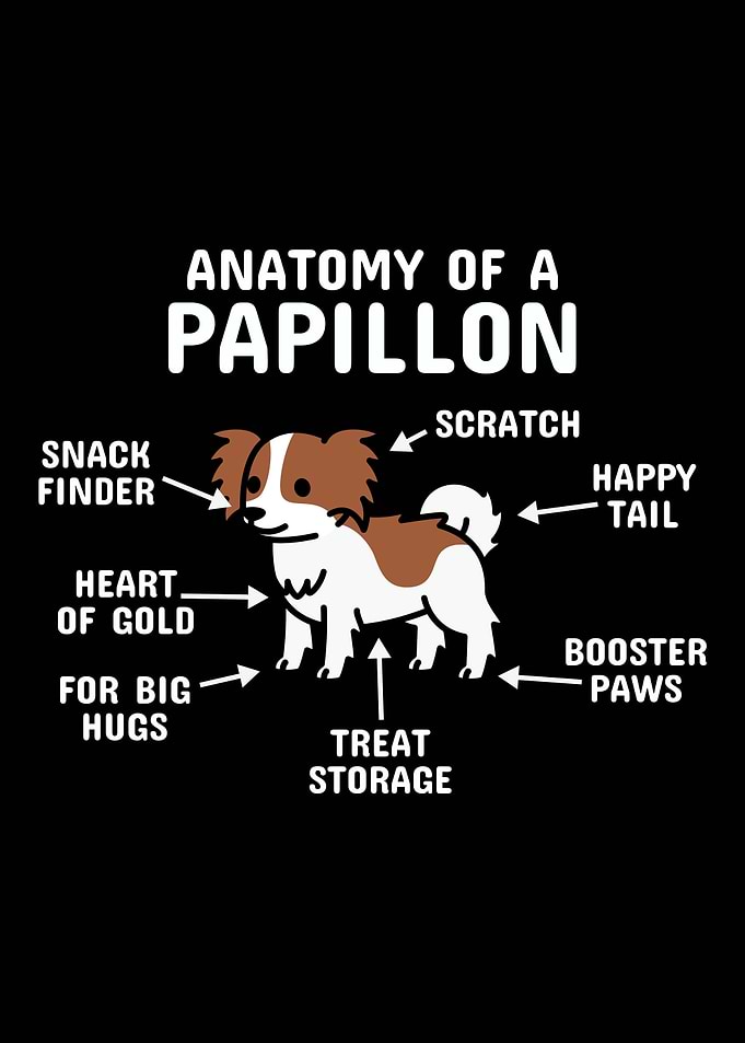 Anatomy Of A Papillon