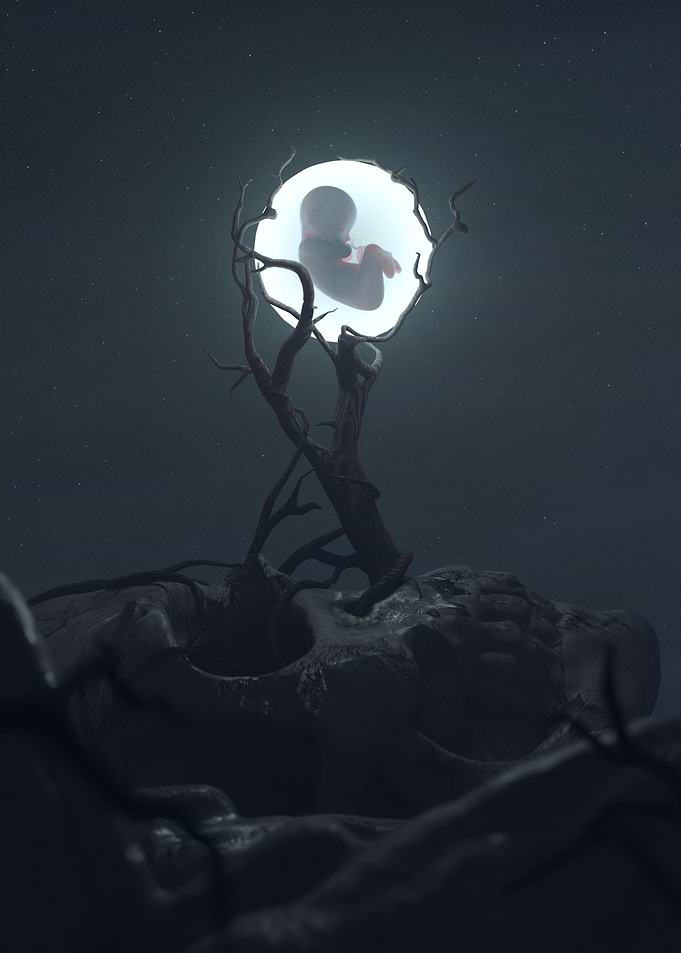 Reborn