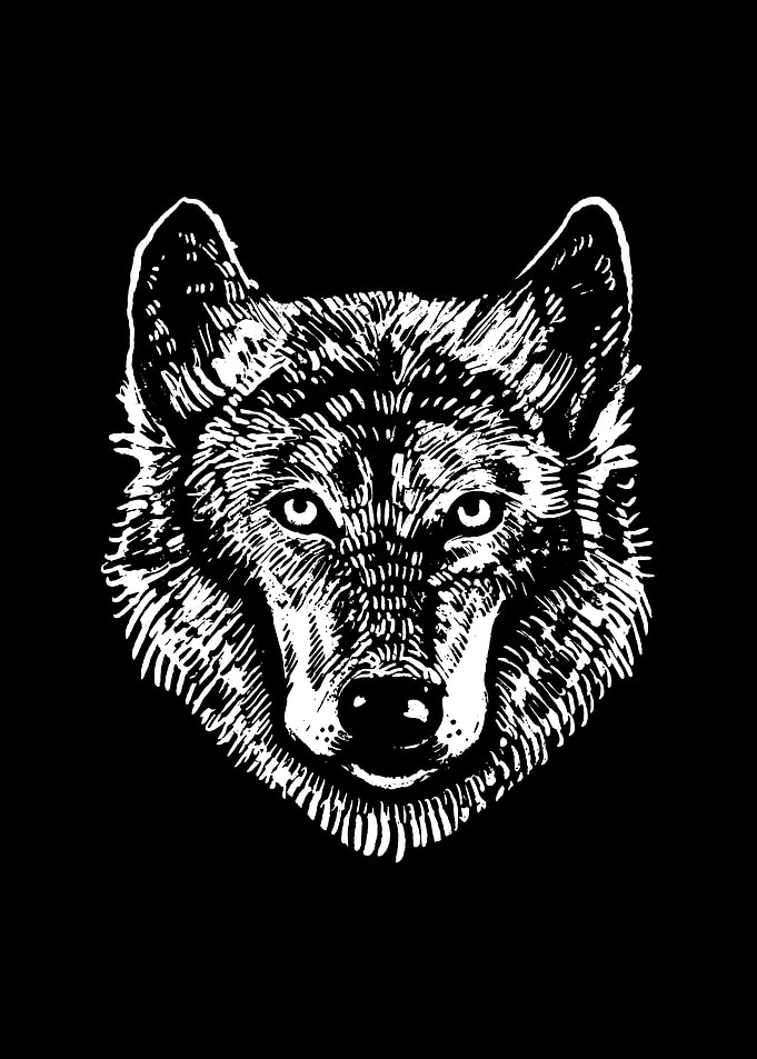 Wolf Moon Forest Howling