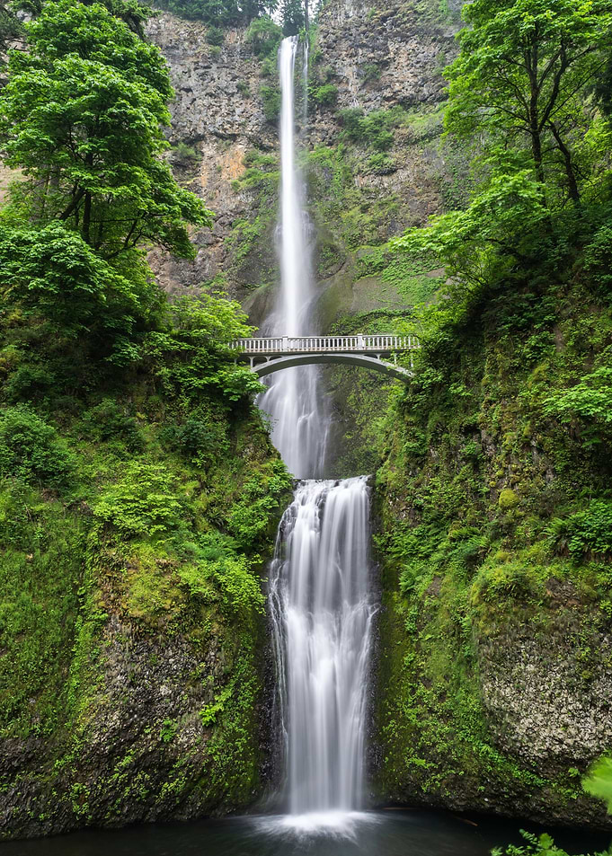 Bridge at Waterfall Nature