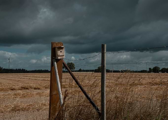 Birdhouse before the storm