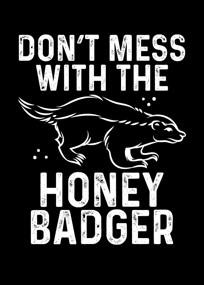 Dont mess with the honey b
