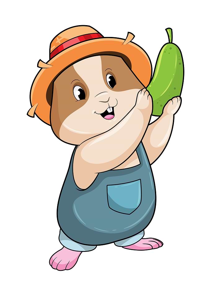 Hamster Farmer Zucchini