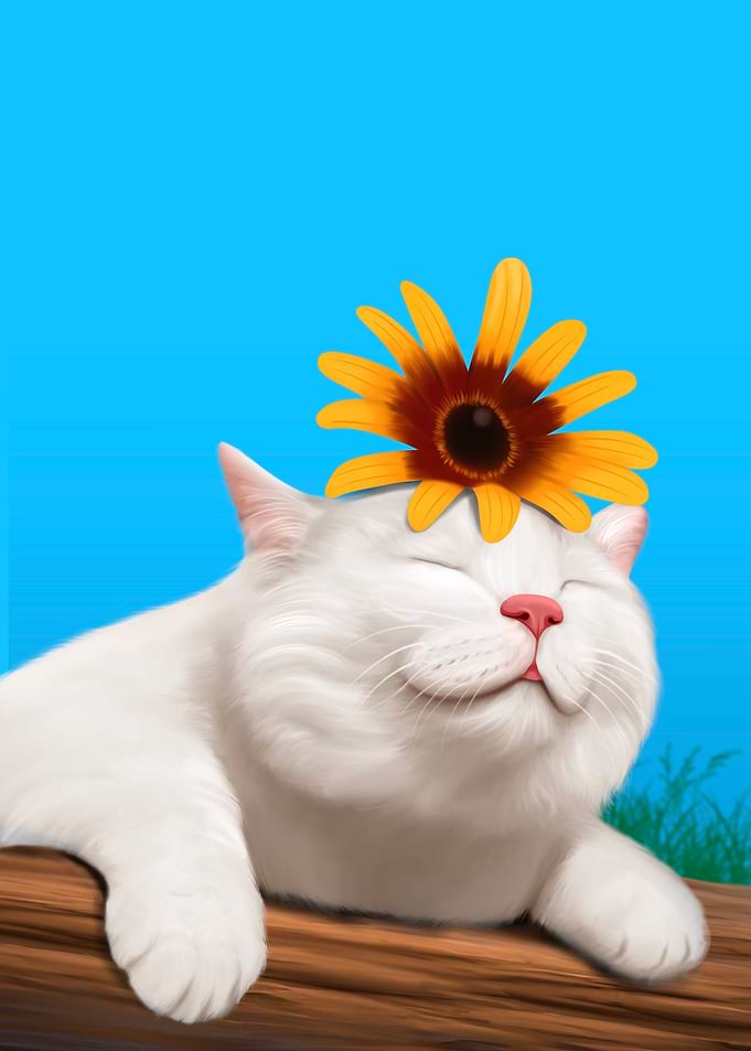 relaxed cat
