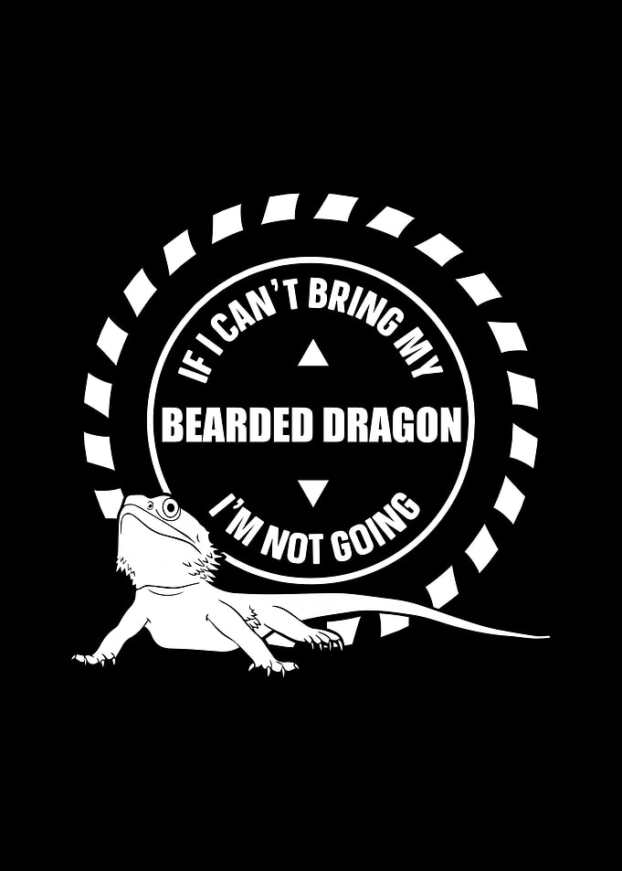 Bearded Dragon