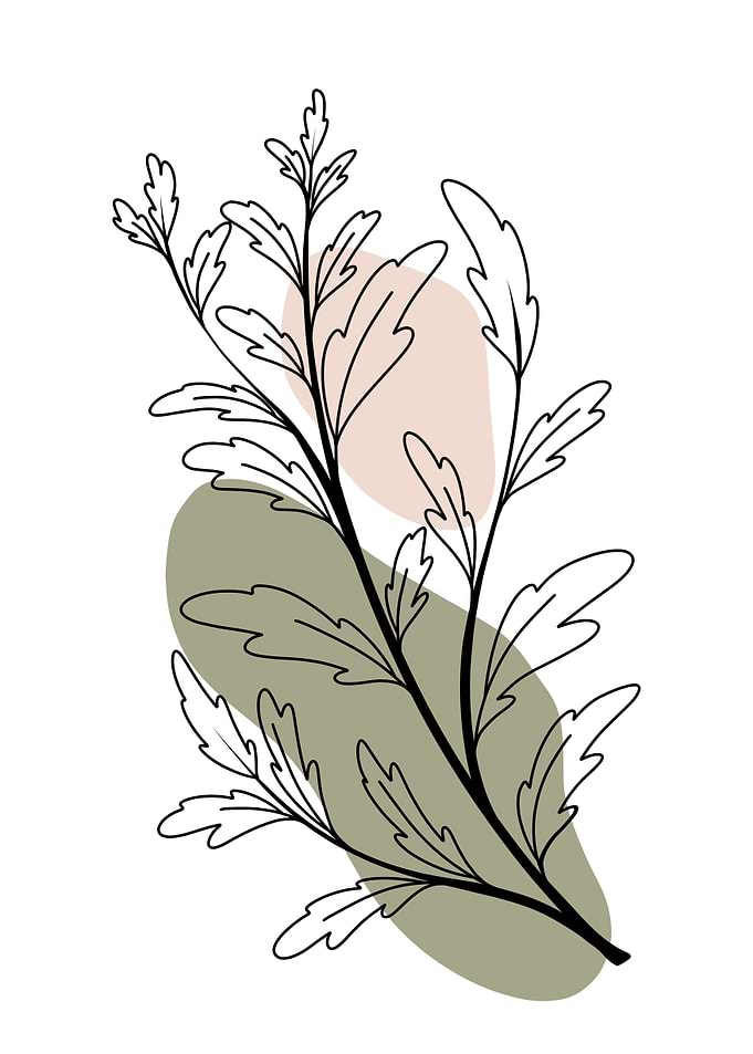Leaf