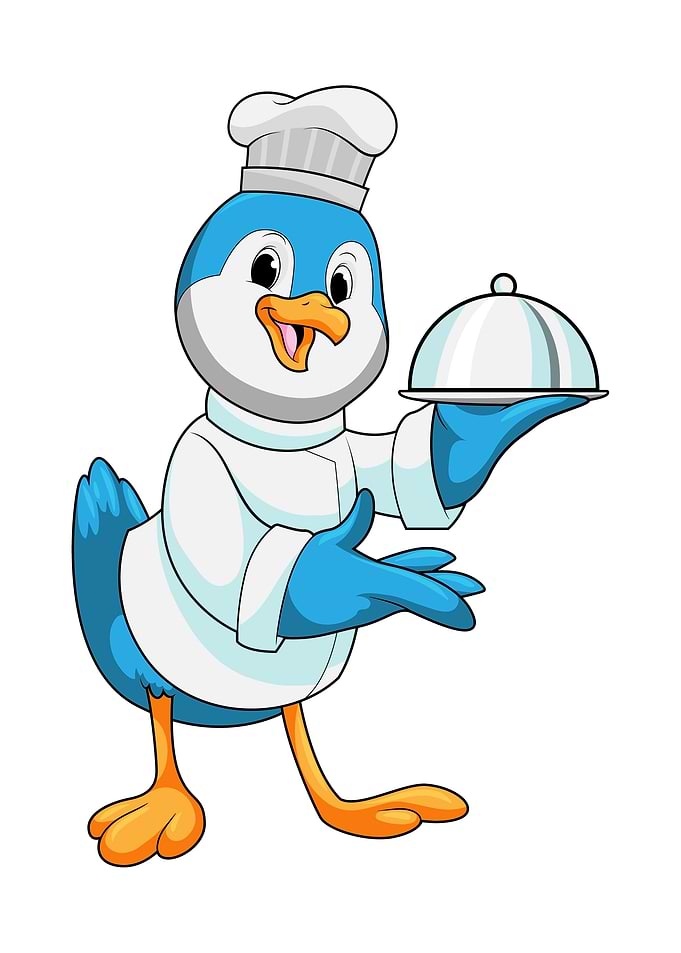 Bird Cook Chef hat
