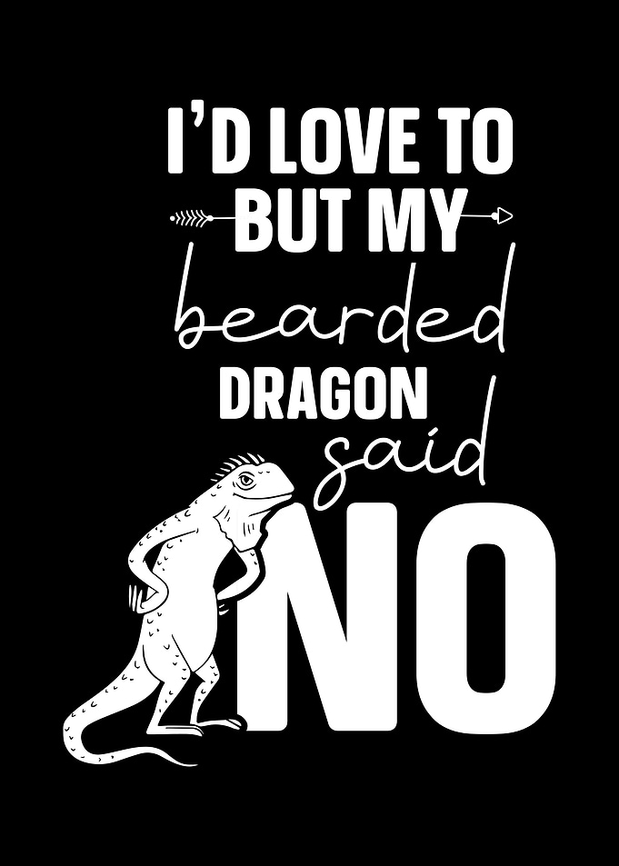 Bearded Dragon