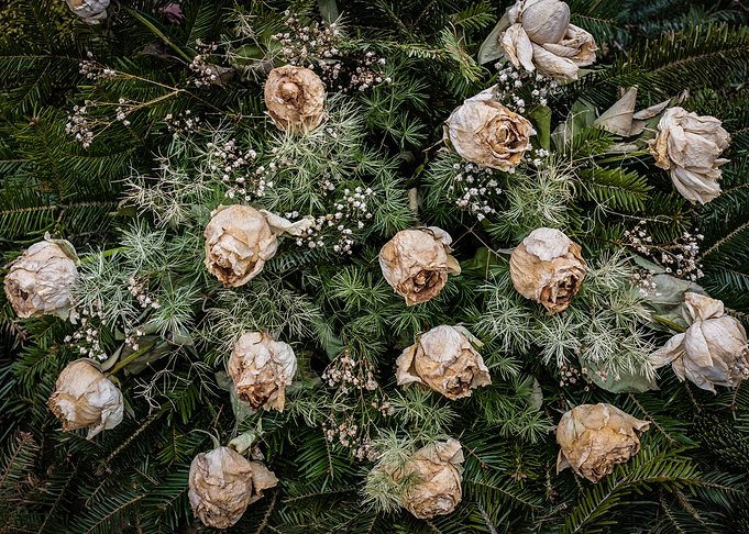 Beauty Passing Away