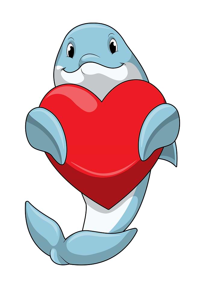 Dolphin Heart