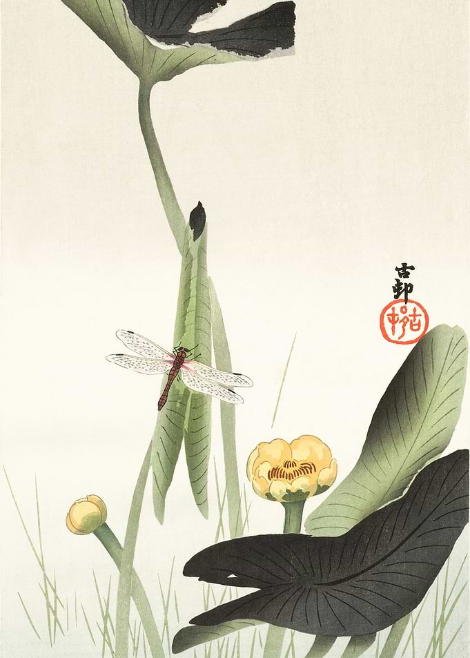 Libelle and lotus 1900