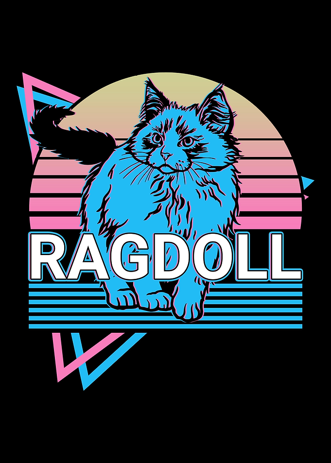 Ragdoll Cat Retro